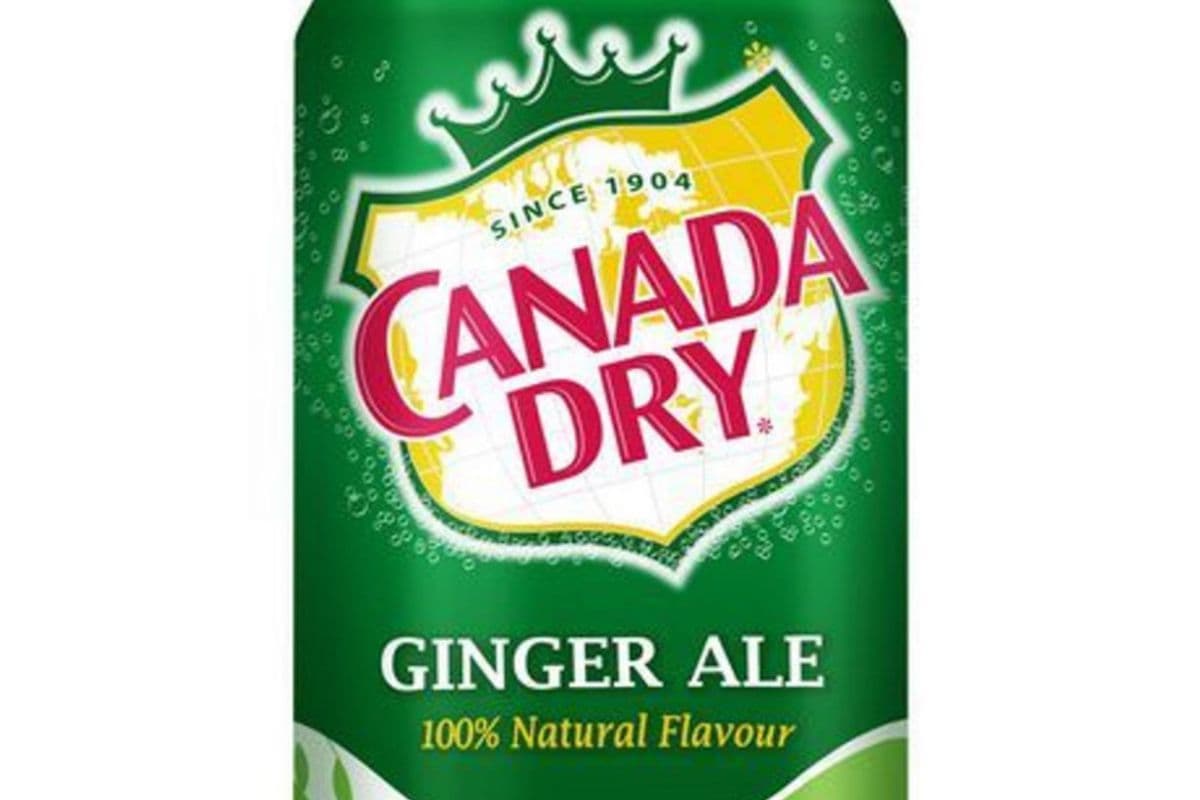 Ginger Ale (355 ml)