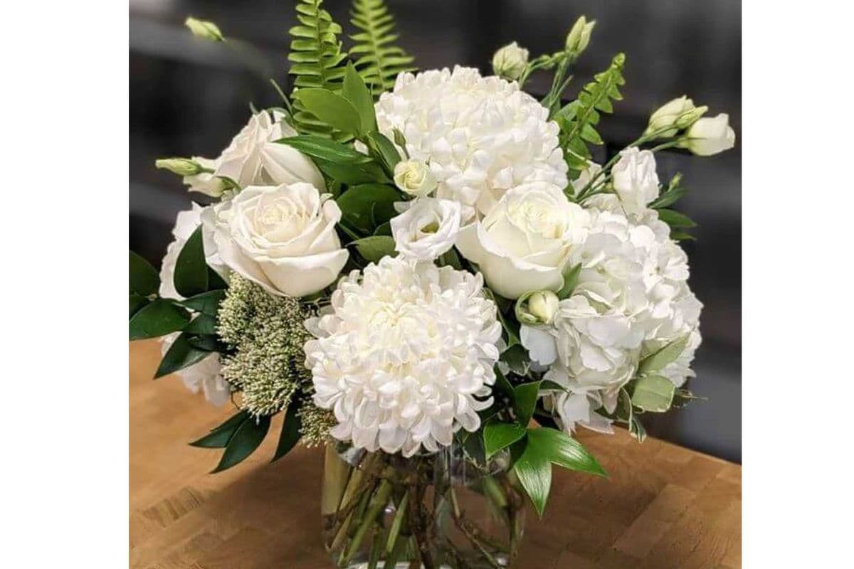 White Delight