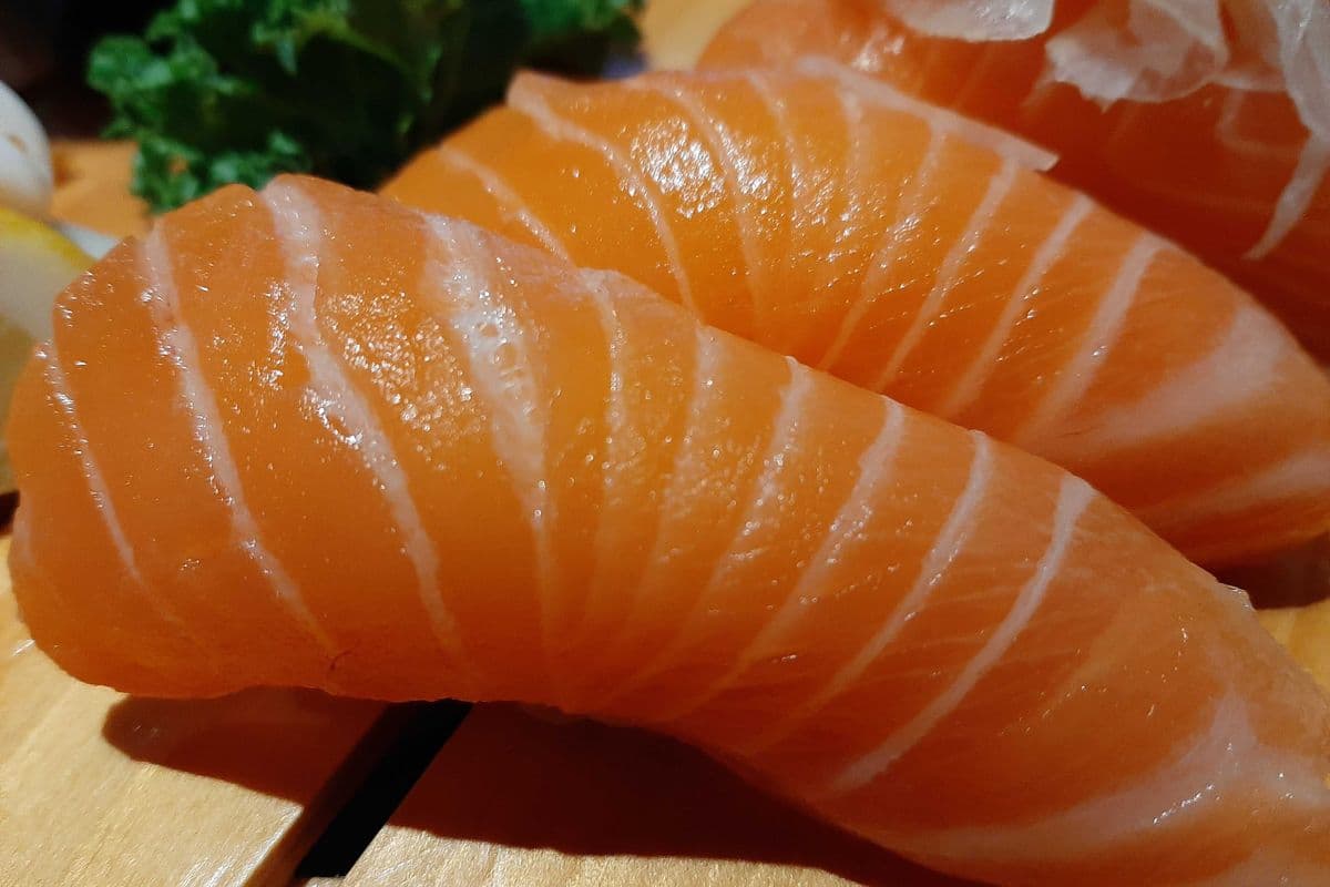 Salmon