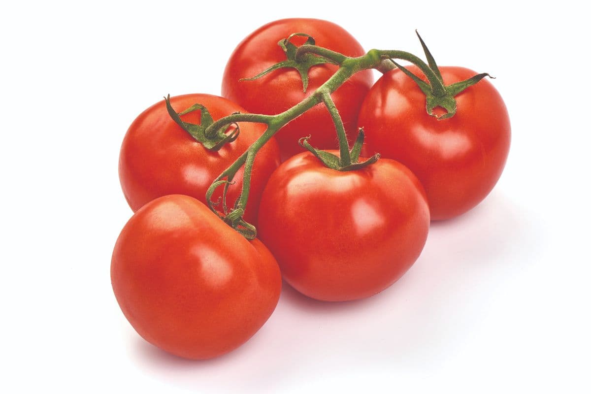 Tomatoes (1 each)