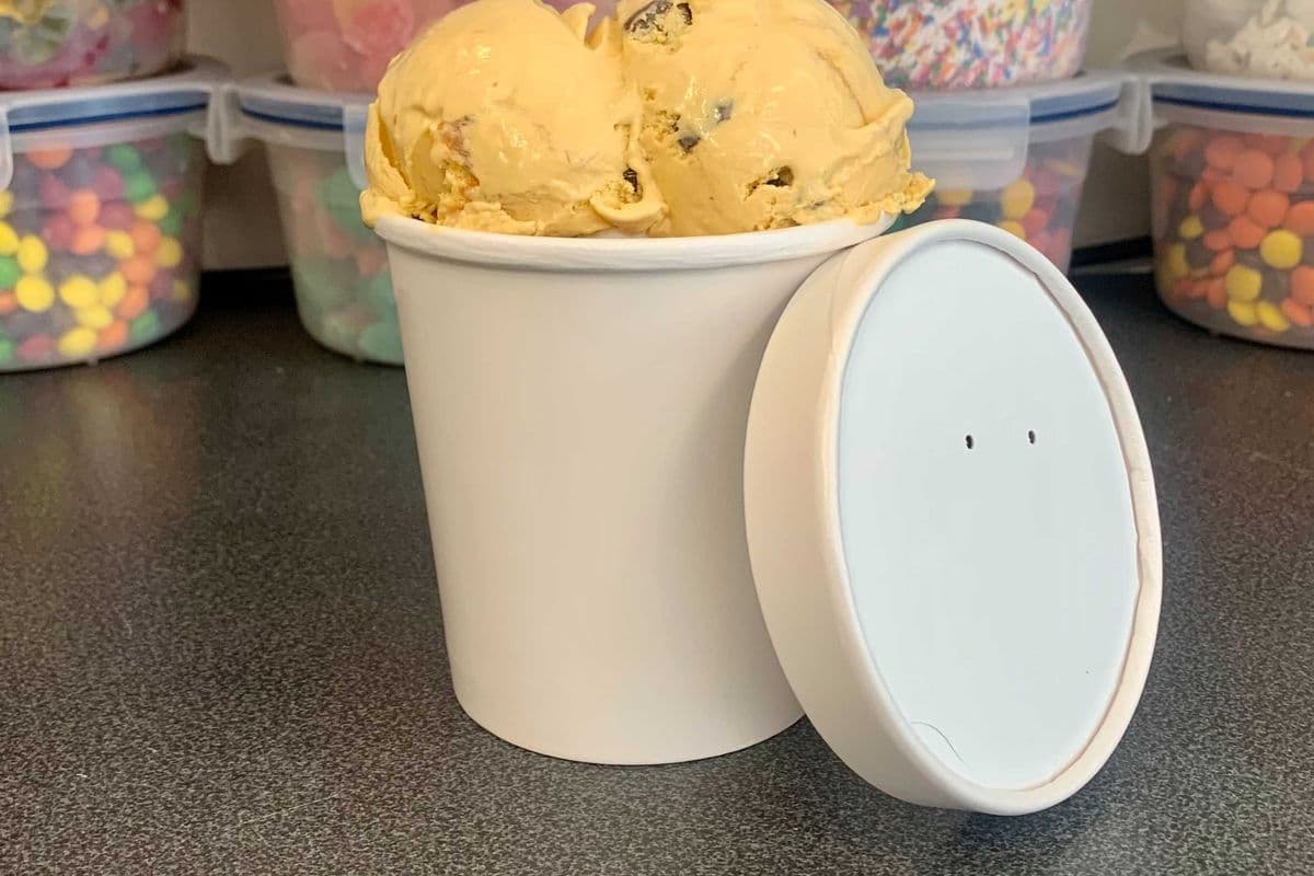 KAWARTHA DAIRY Salty caramel truffle ice cream (500ml)