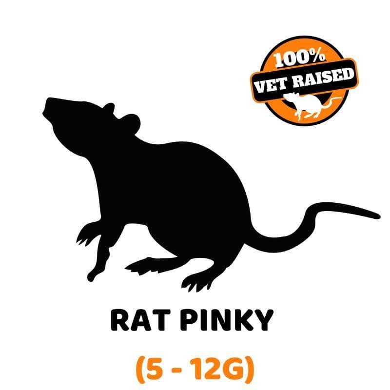 Exotic Feeders Whole Prey Frozen Feeder Rat Pinky 5-12g)