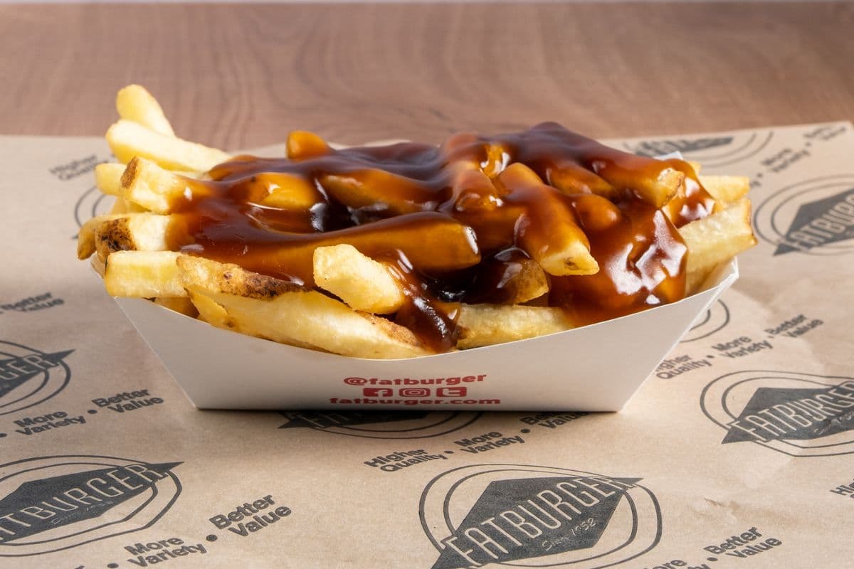 FRIES WITH GRAVY