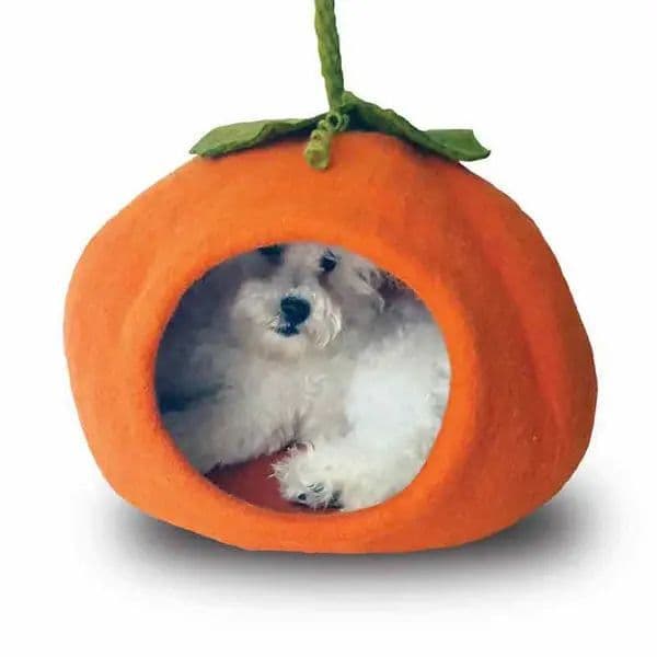 Dharma Dog Karma Cat - Wool Felt Pumpkin Cave