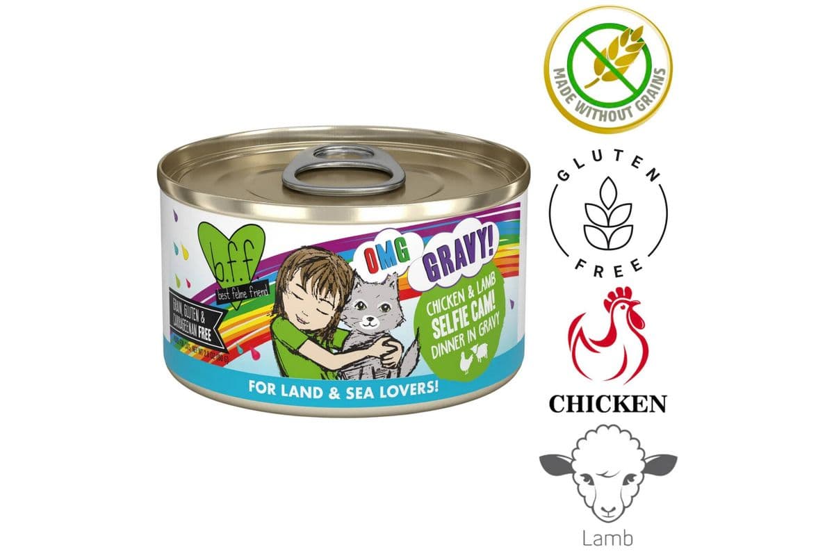 Weruva - OMG Selfie Cam! Canned Cat Food (2.8 oz)