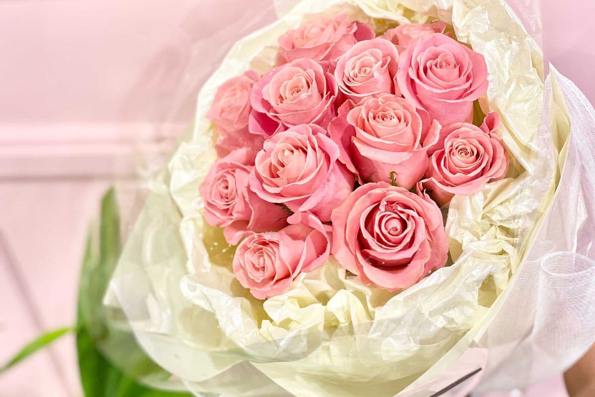 Dozen Pink Roses_Premium