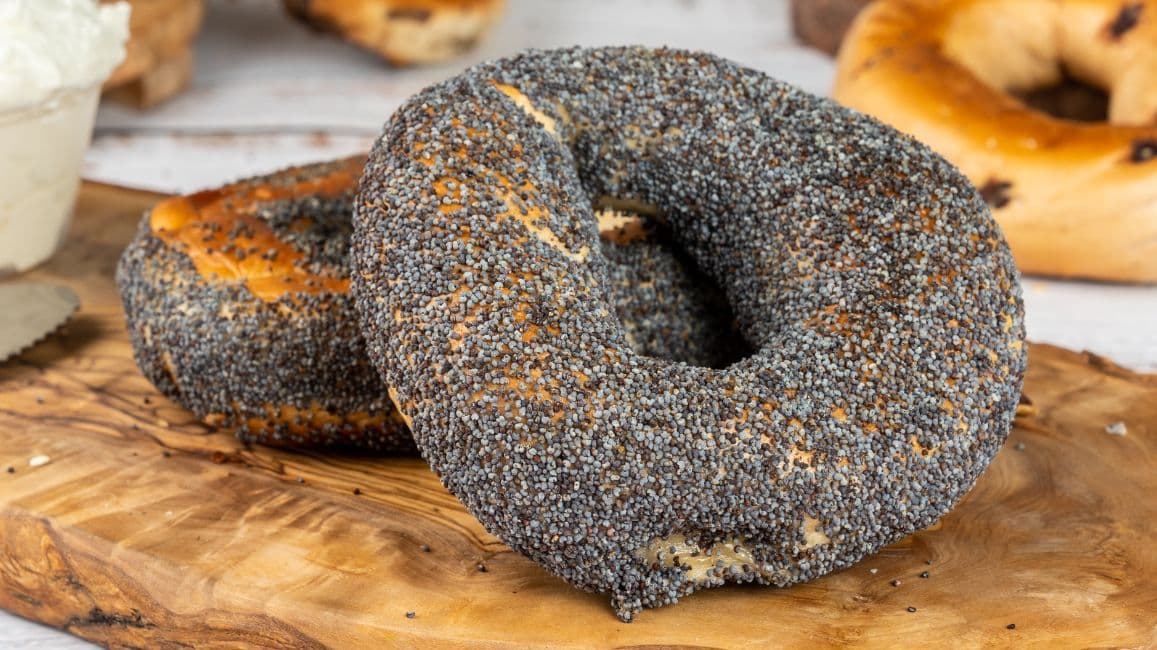 Poppy Seed Bagel
