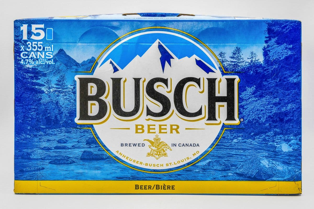 Busch (15 x 355ml)