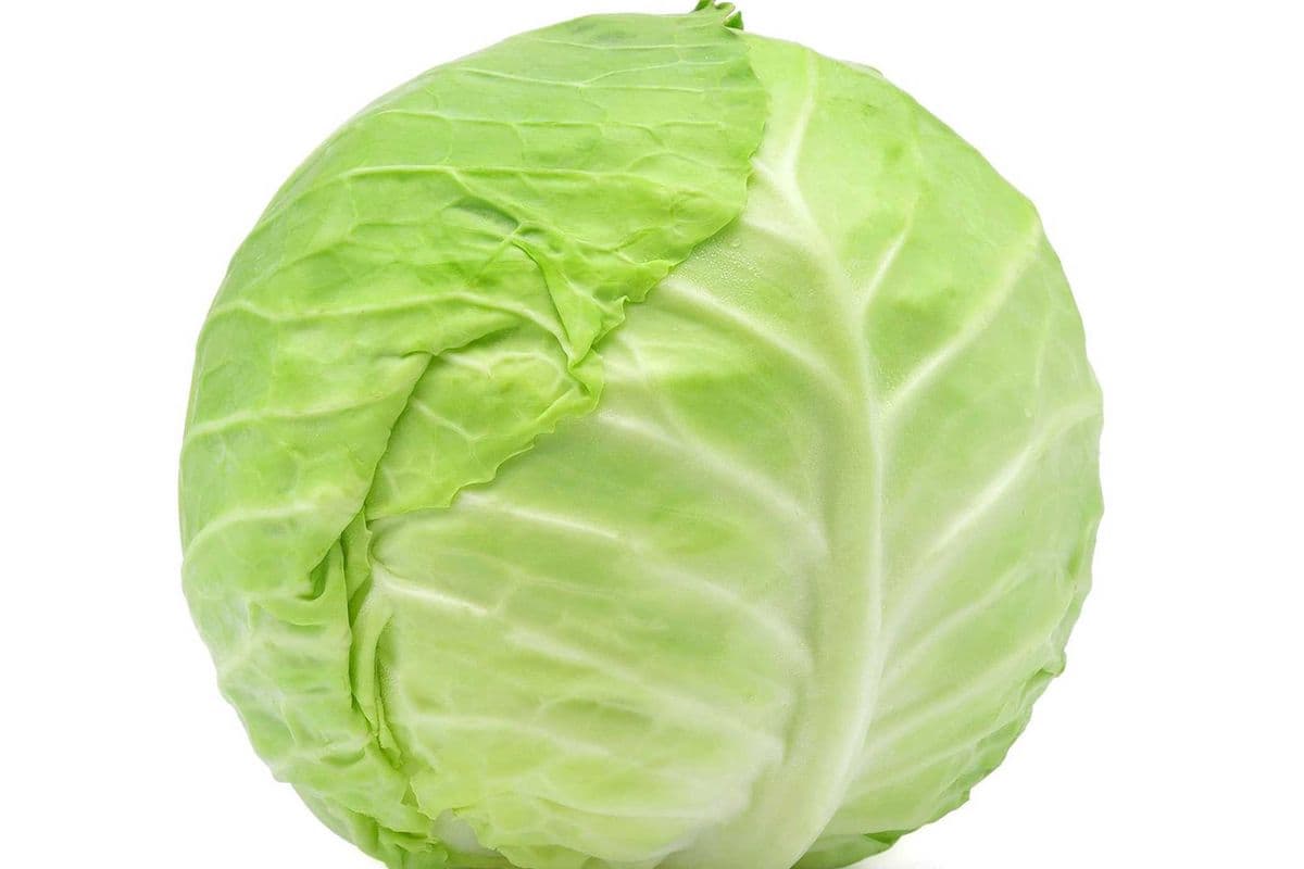 Choux vert (kg) / Green Cabbage (kg)