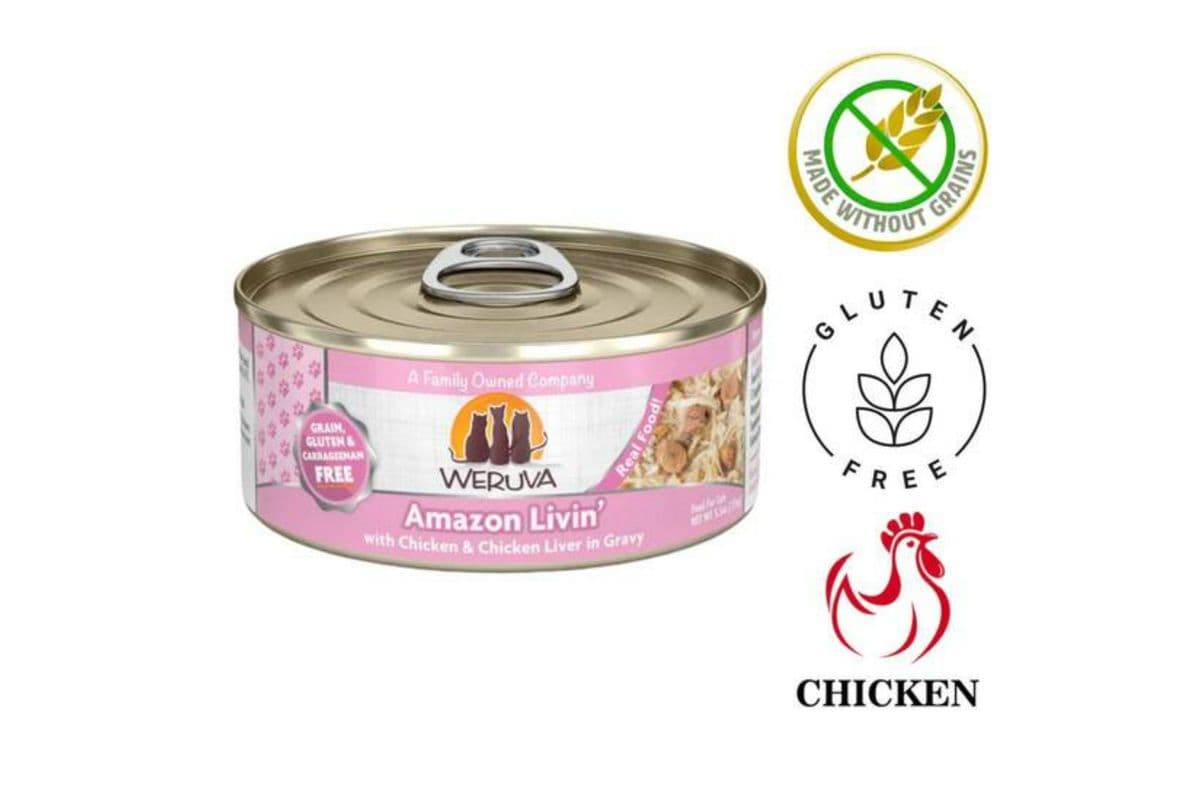 Weruva Amazon Livin' Canned Cat Food (5.5 oz)