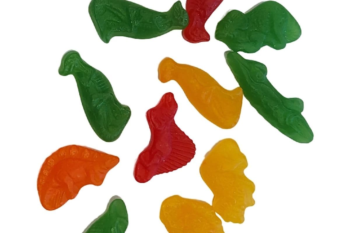 Dinosours (150 g)