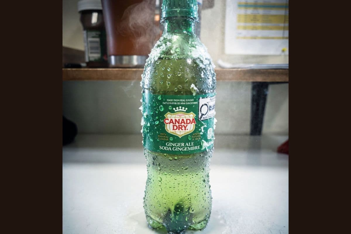Canada Dry (500ml bottle)
