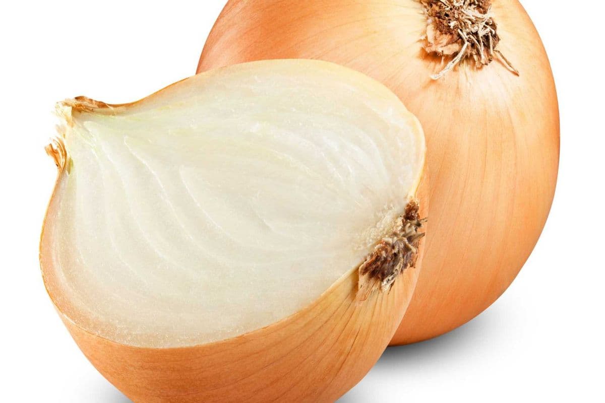 2 LBS oignons jaune / Yellow Onion