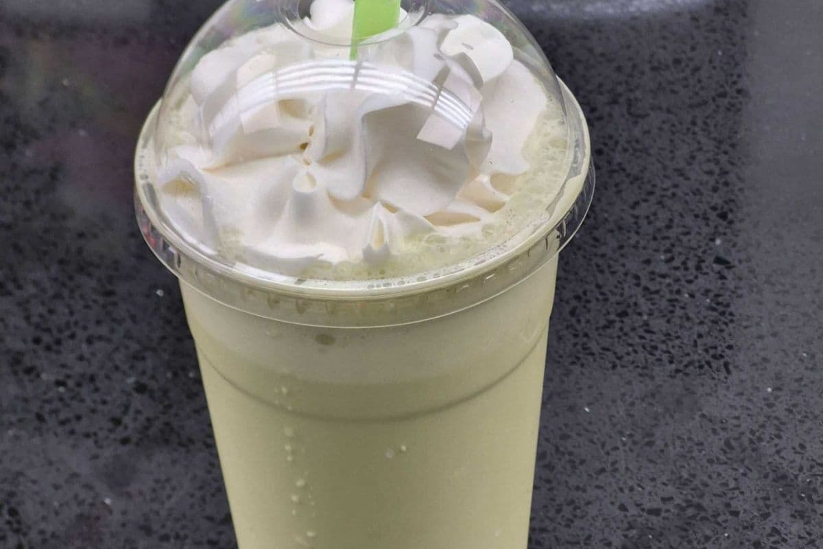 Maccha Matcha (Large)