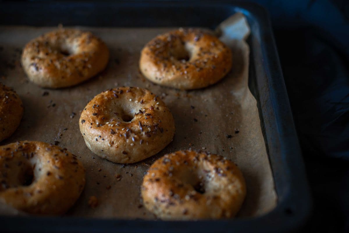 Bagel