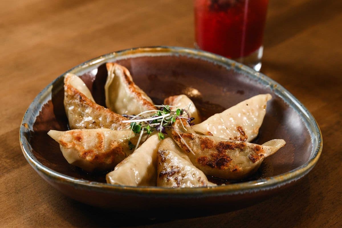Chicken Dumplings