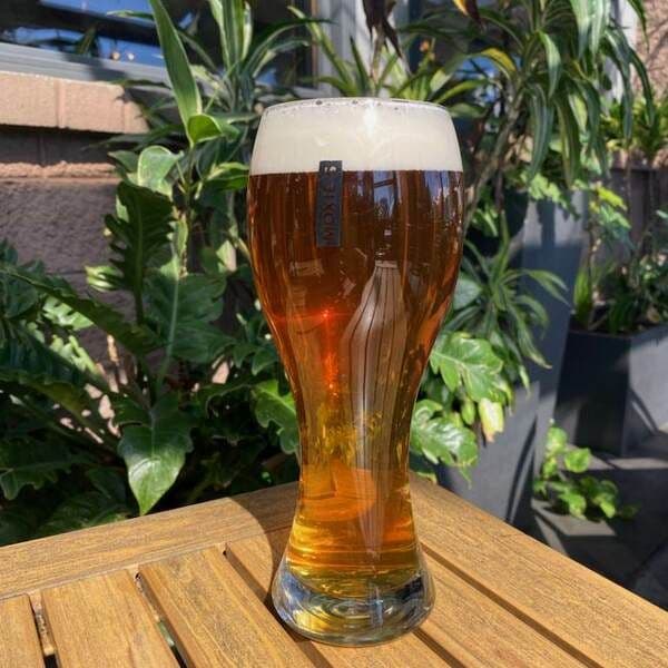 Big Life™ Amber Ale - 22 oz