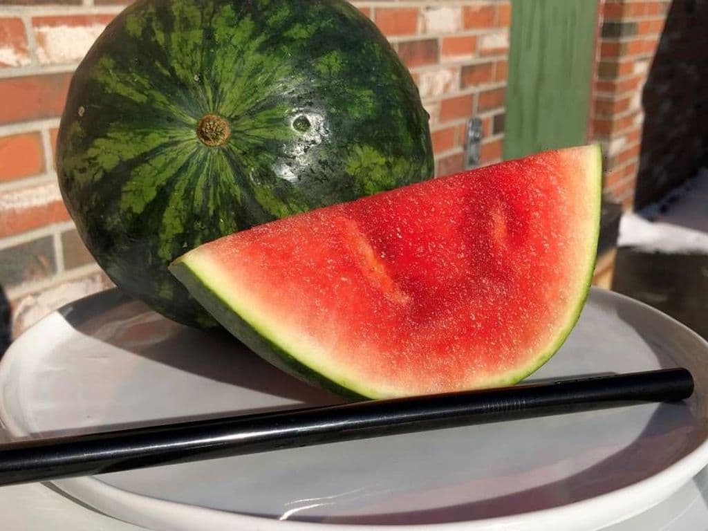 Watermelon Smoothie
