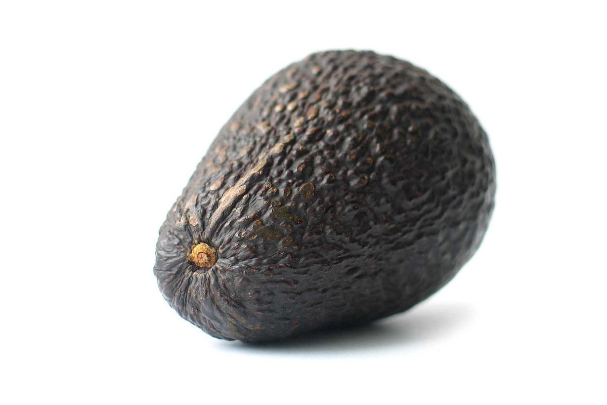 Avocado (Each)