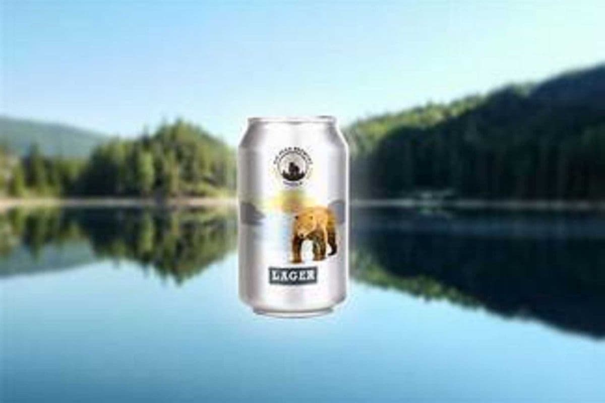 Big Bear Lager, 6 Cans (1 x 6 cans x 355ml)