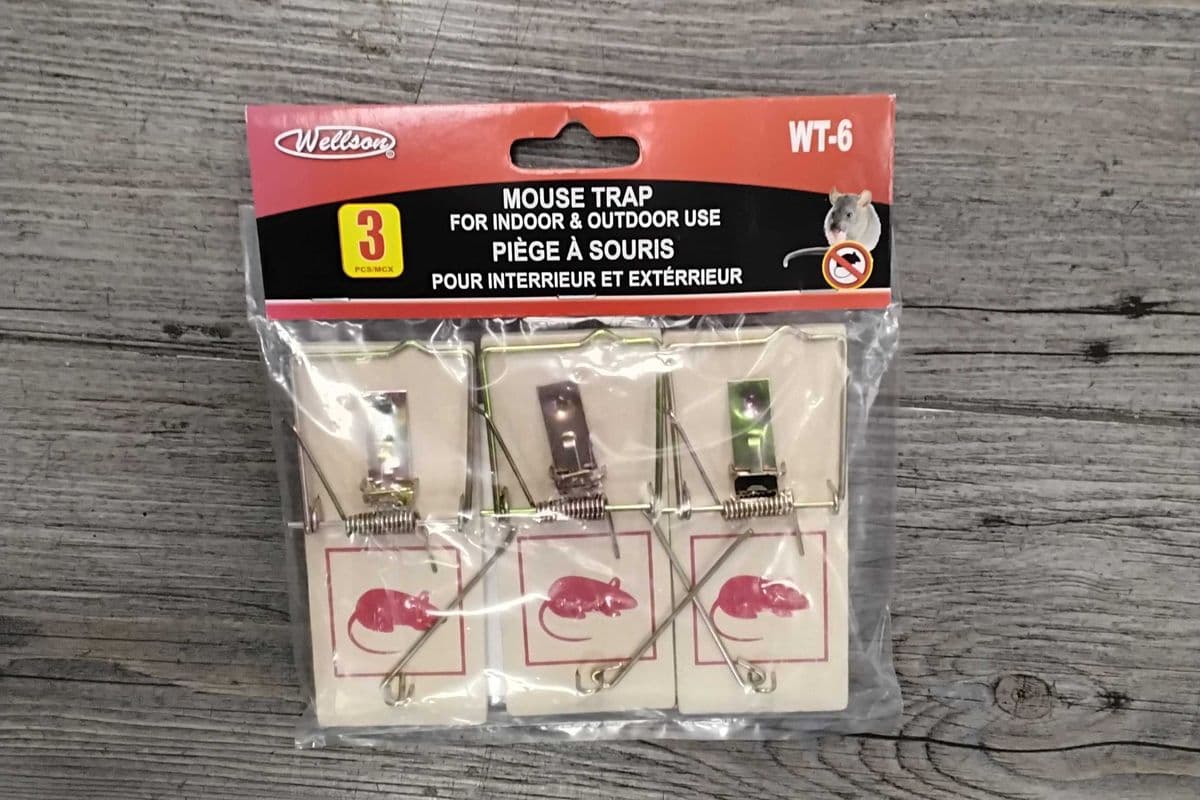 Mouse trap. 3pcs