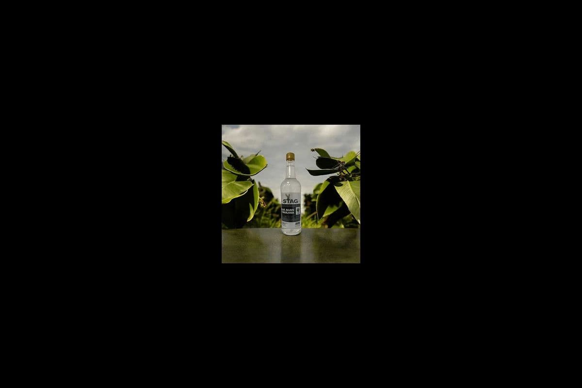 STAG TEQUILA (1 x 750ML)