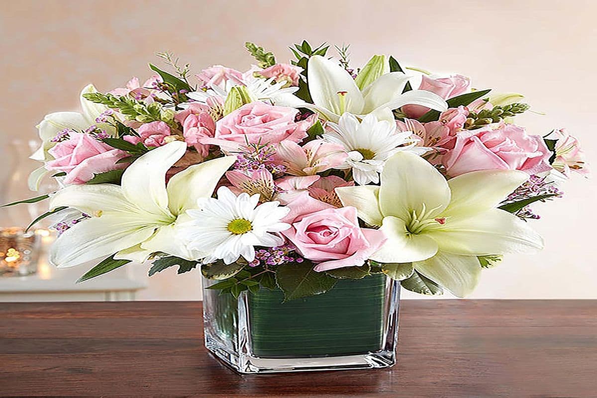Pink and White Cubed Sensation - Canadian Sourced Flowers