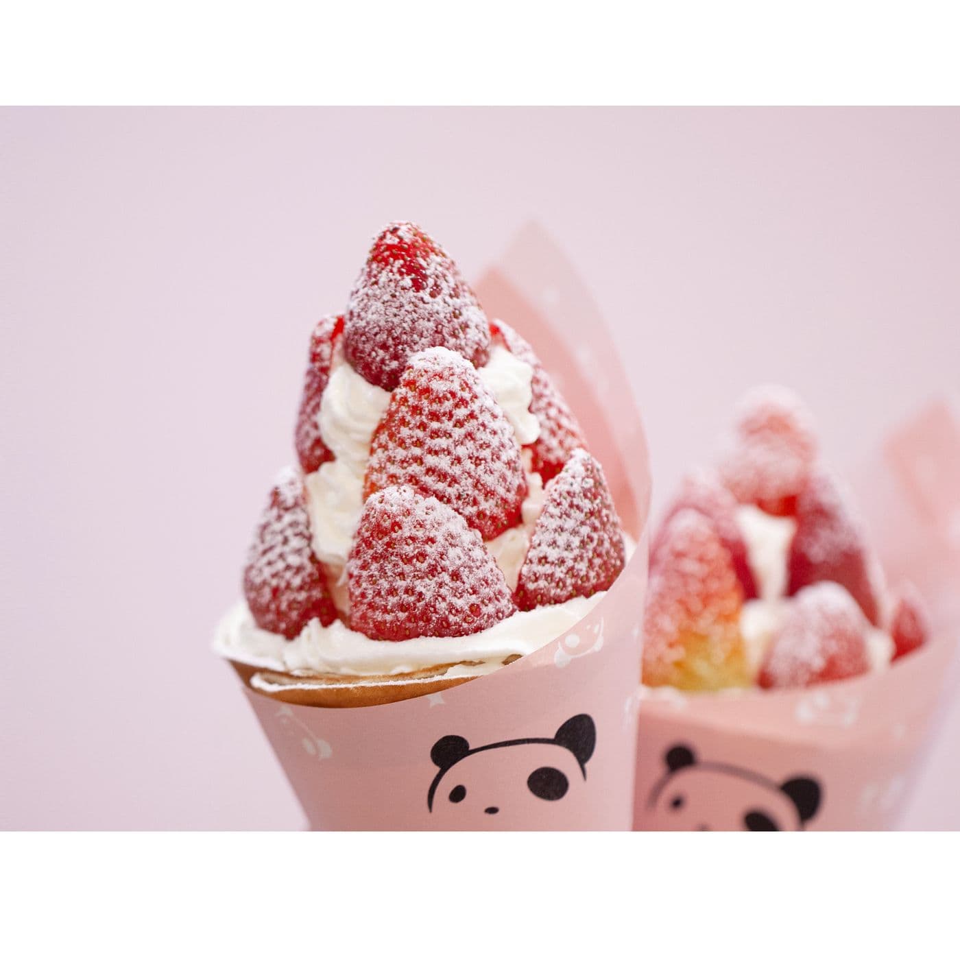 Panda Crepe