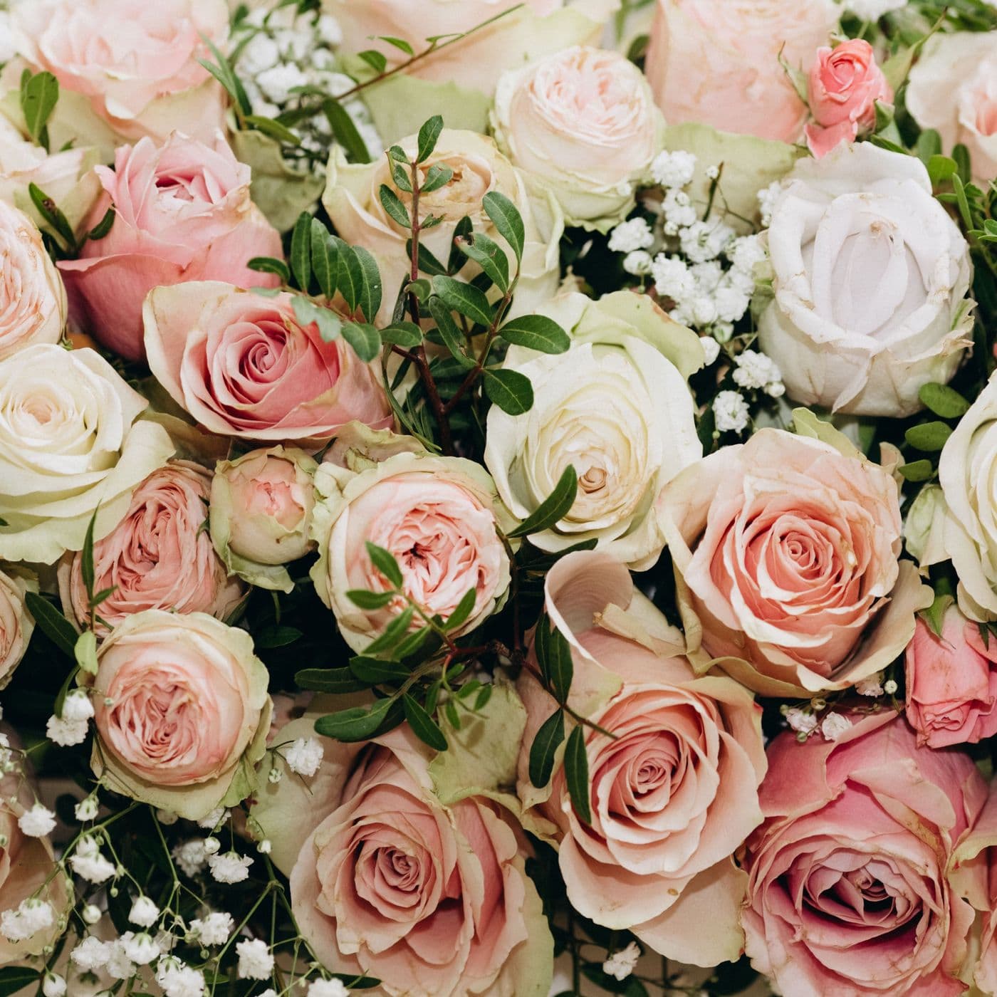 Myra Rose Florist
