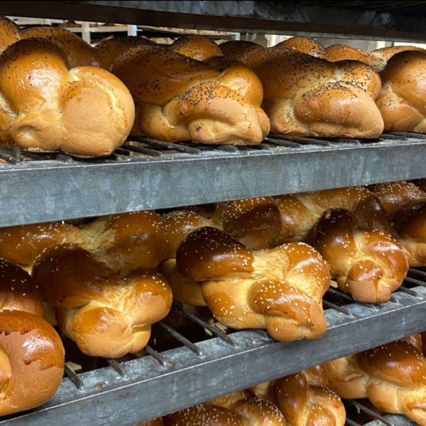 Hermes Bakery