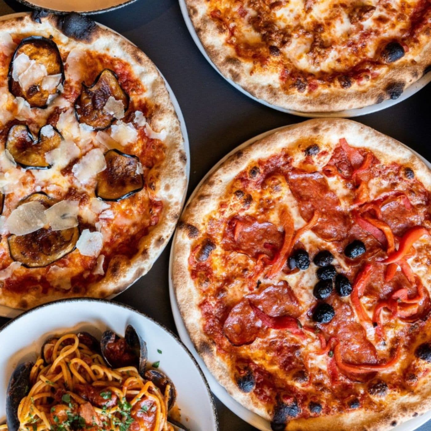 Terroni 