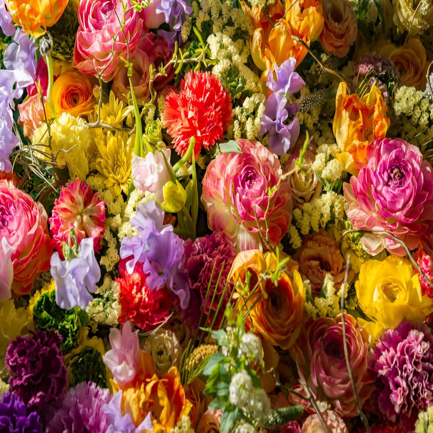 Canadiana Flowers