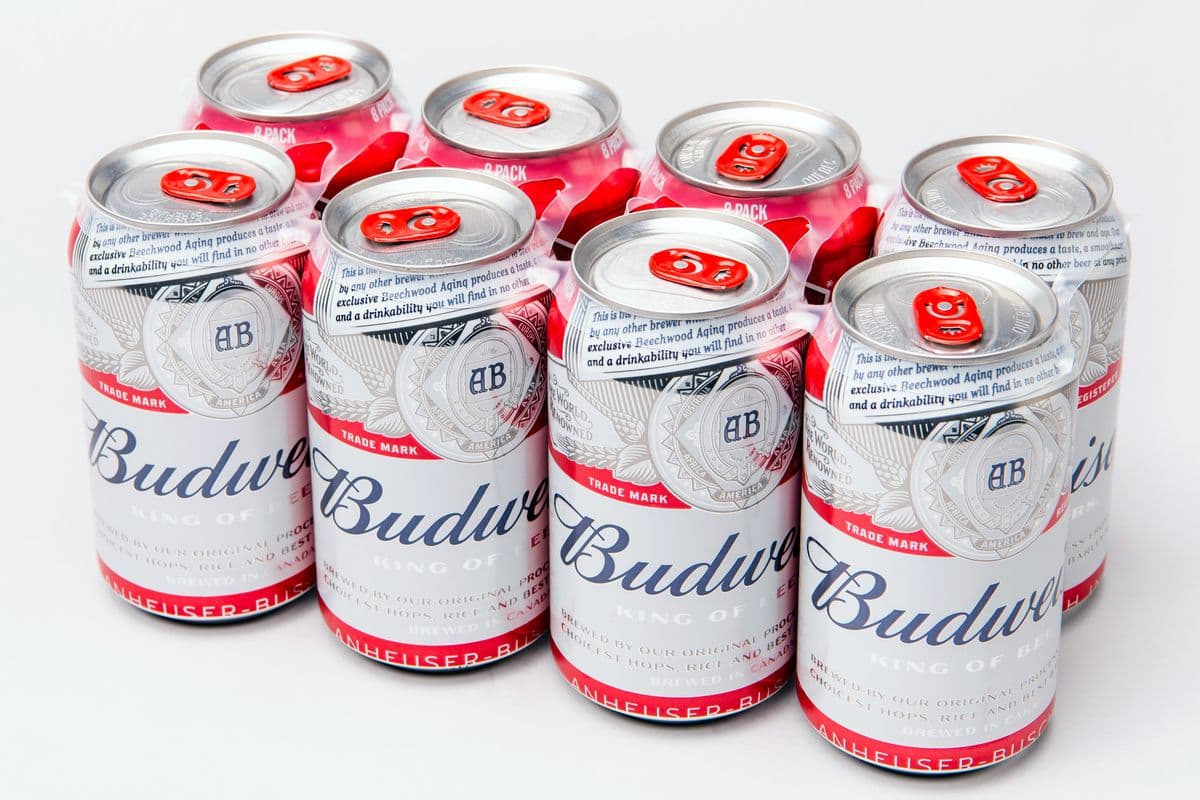 Budweiser (8 x 355 ml cans)