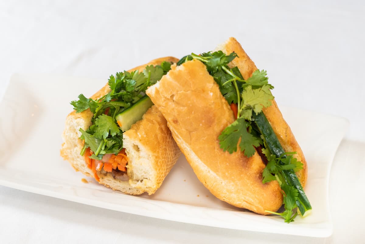 B9. Vietnamese Sub