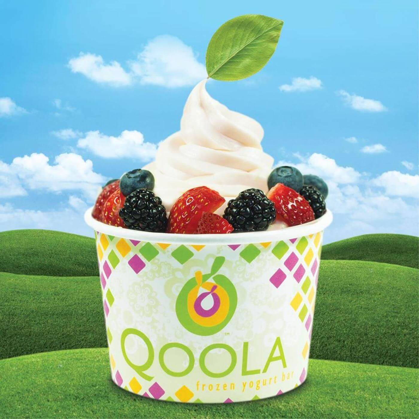 Qoola Frozen Yogurt Bar