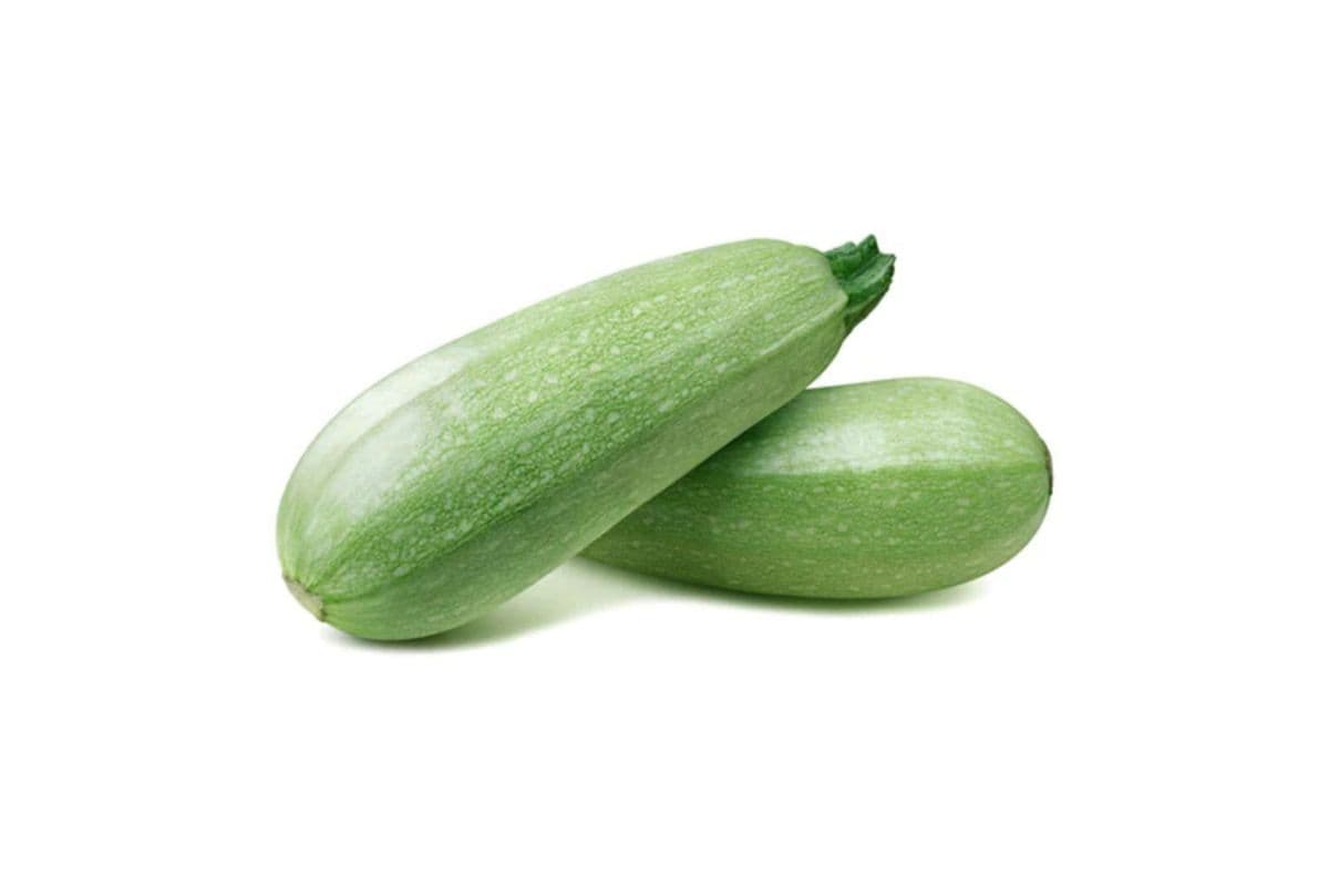 Grey Zucchini (Persian Kadoo)