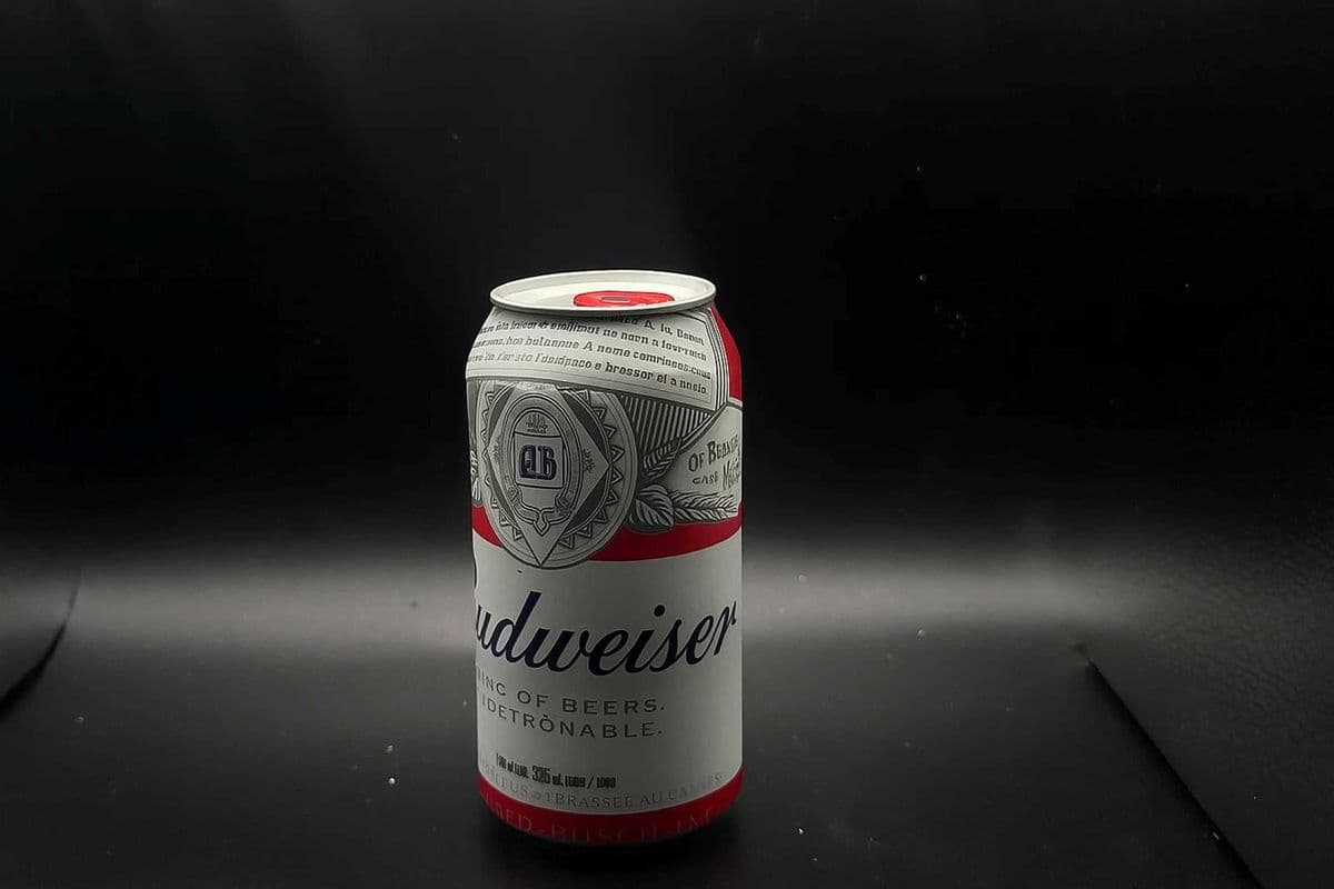 Budweiser (1 x 341ml)