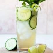Sweet Fresh Lime Spritzer (neebu pani)