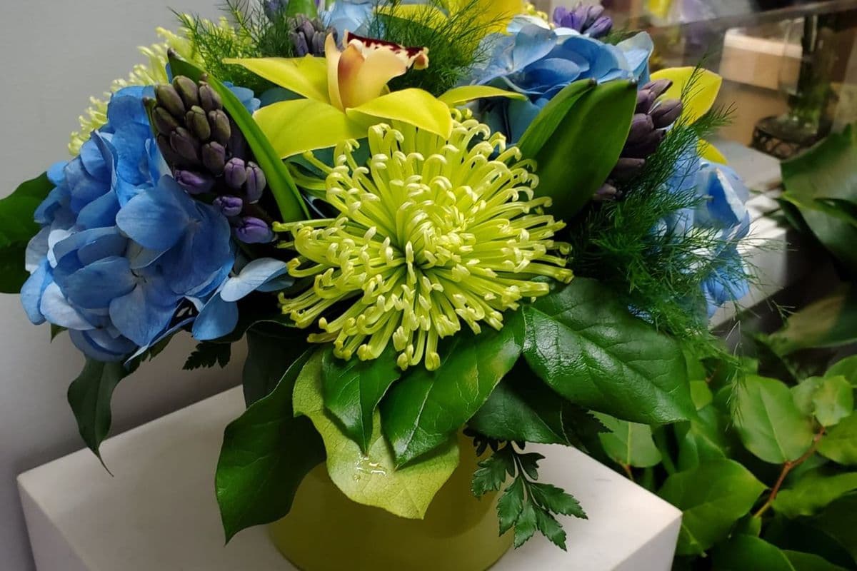 Kiwi and Blue
