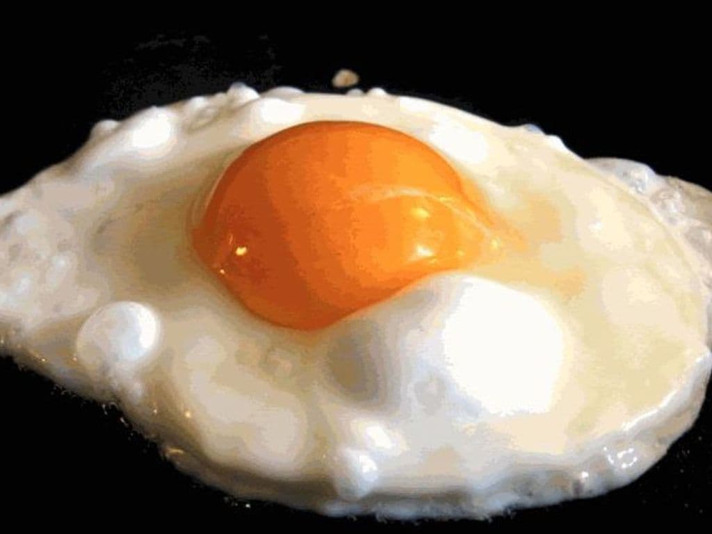 Extra Fried Egg