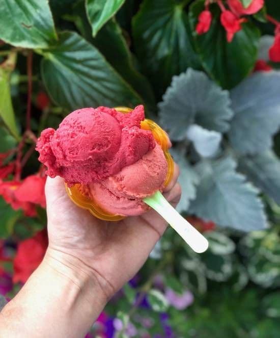 Gelato Cup (2 Scoops)
