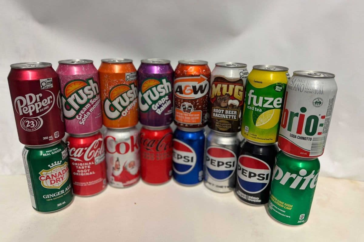 Soft Drinks (355mL)