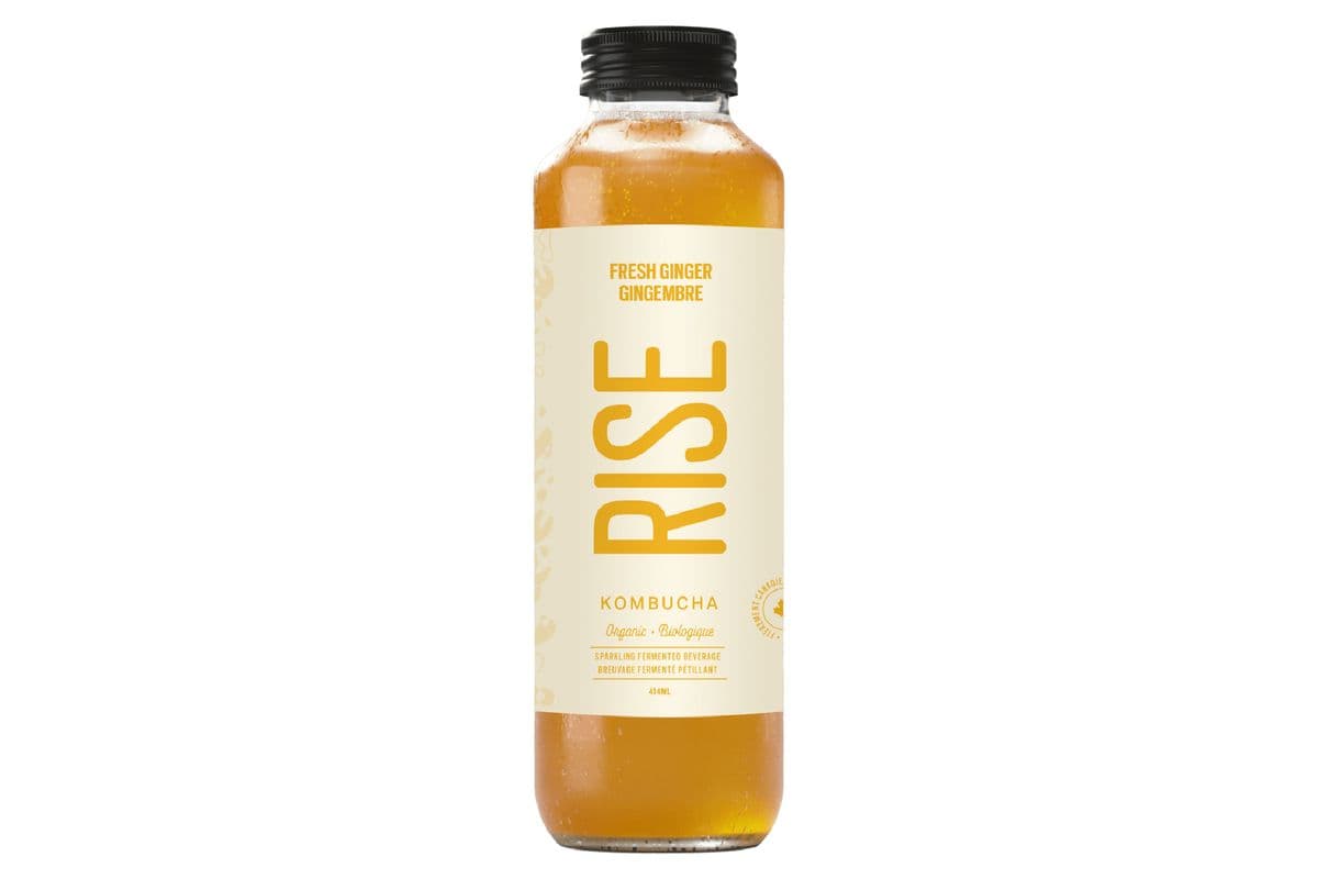RISE Kombucha Ginger