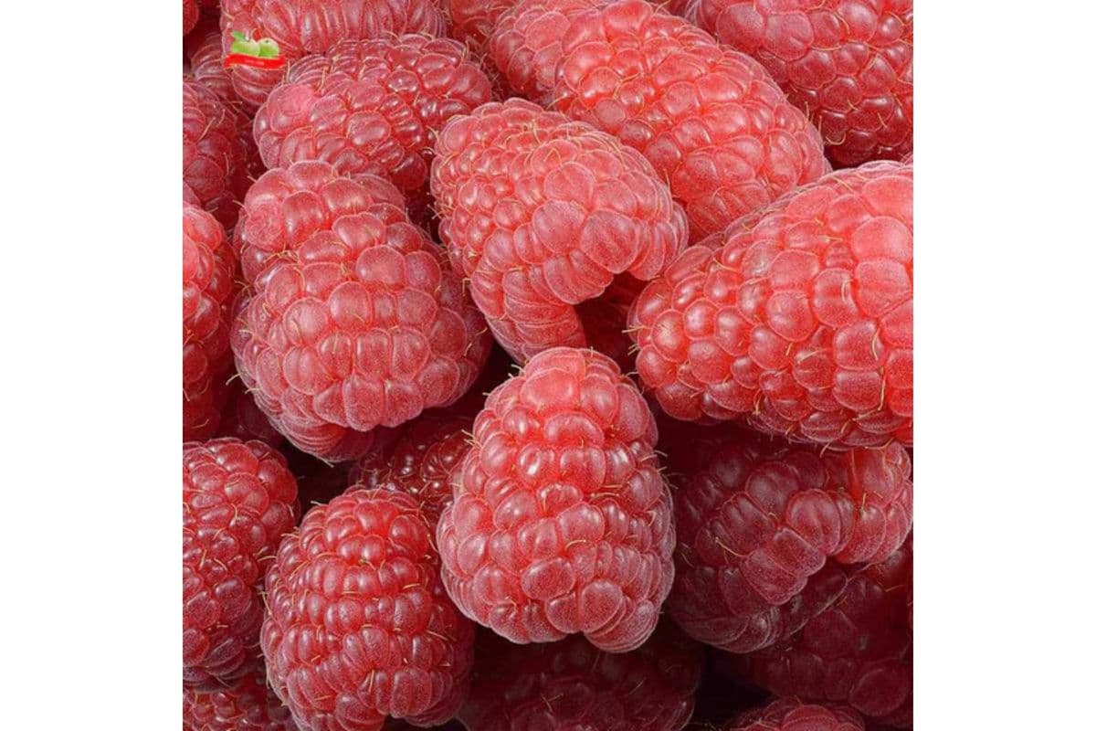 Raspberries Pint (170g)