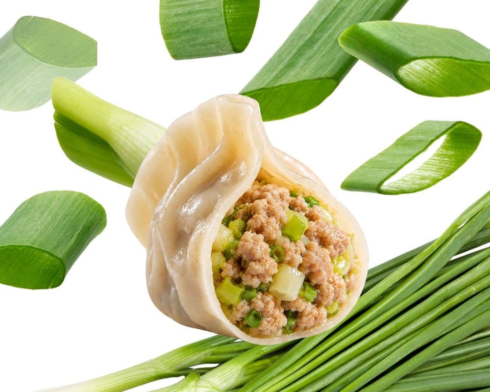 32. Pork & Green Onion Dumpling / Porc et Oignon vert Dumpling