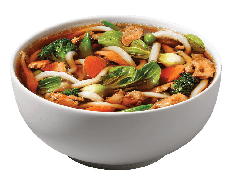 Chicken Udon Soup