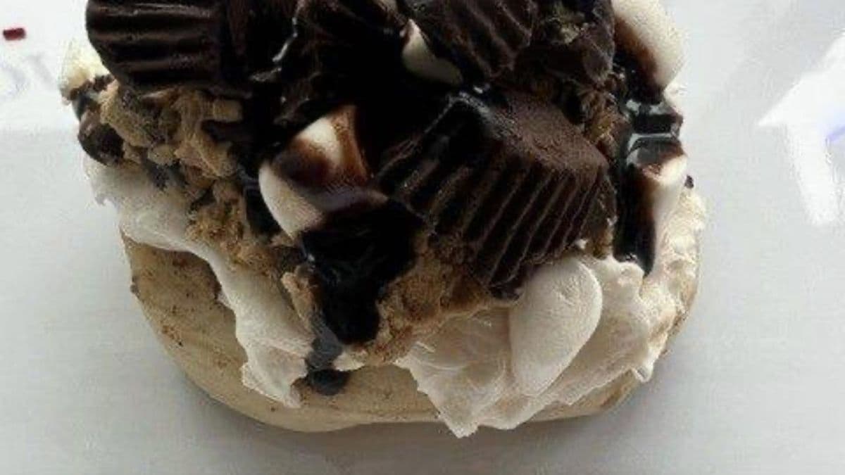 Moose Tracks Roll