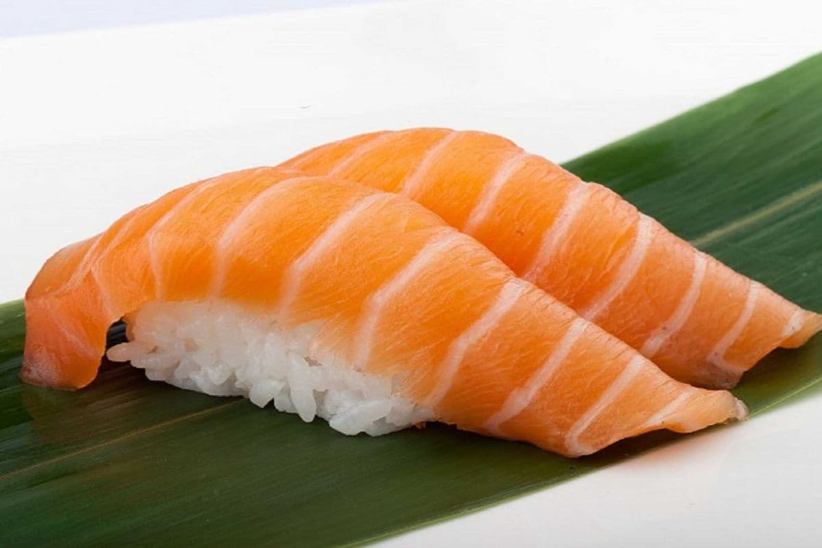 Salmon