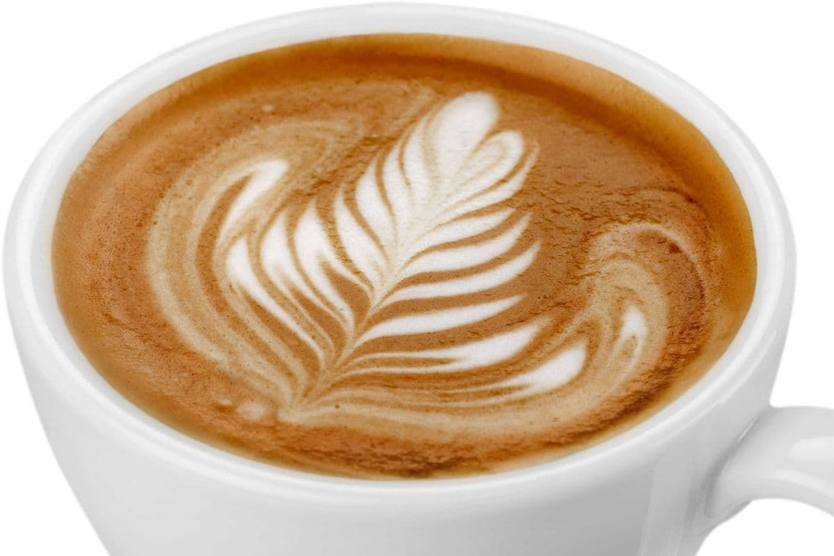 Latte/ Cappuccino (M)