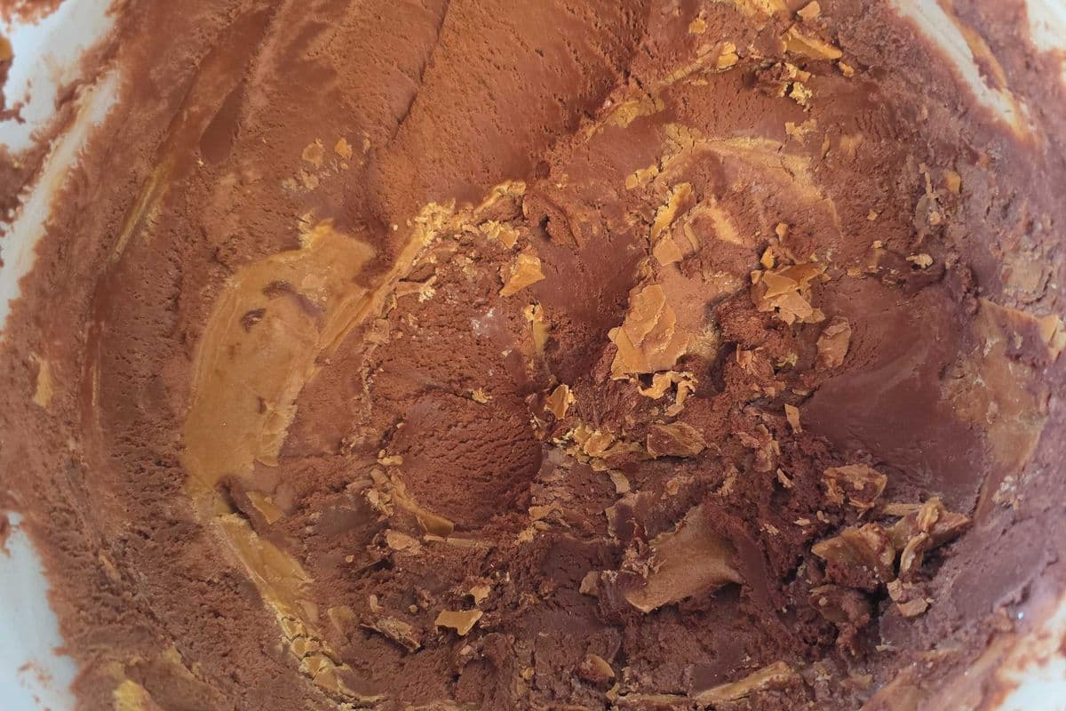 Ice Cream - CHOCOLATE PEANUT BUTTER